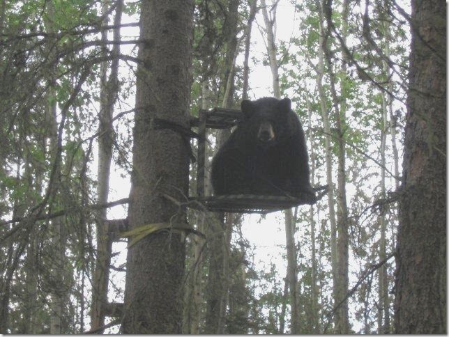 Time to go - The Great Outdoors