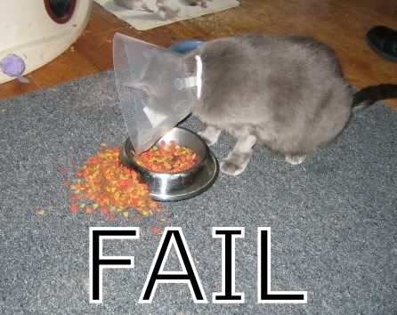 fail Pictures, Images and Photos
