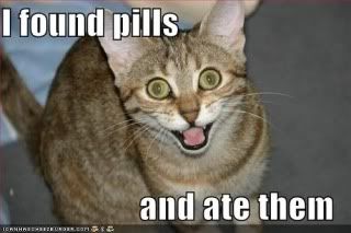 lolcat-funny-picture-found-pills-ate-eat.jpg