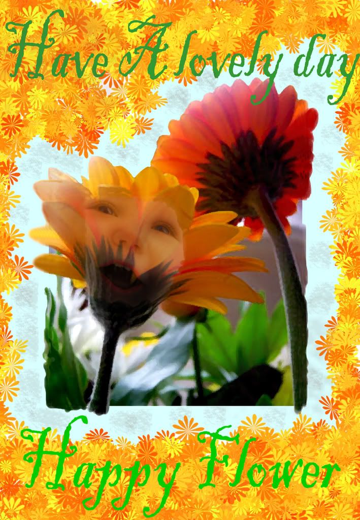 HAppy Flower.. Flower Pictures, Images and Photos