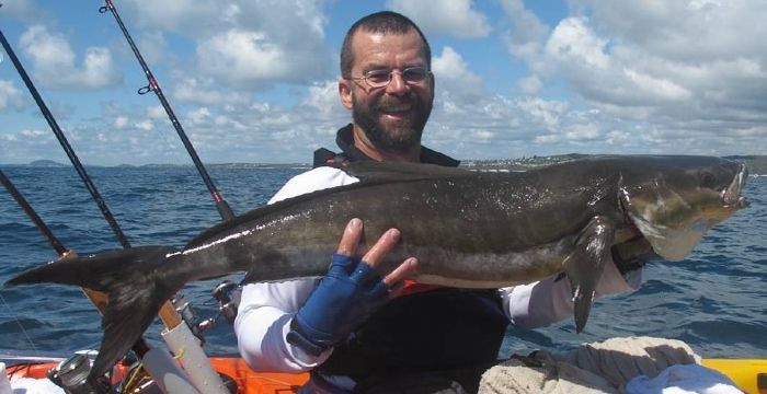 SR cobia