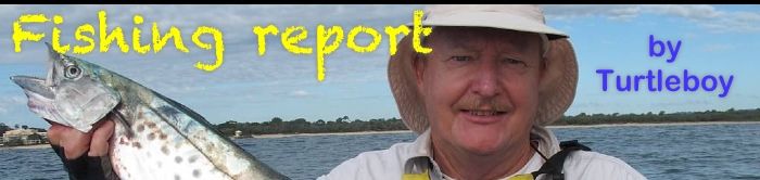 Fishing report ny news masthead