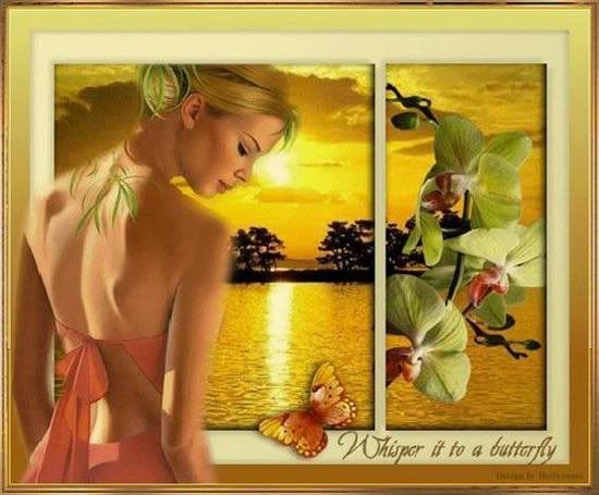 gold Pictures, Images and Photos