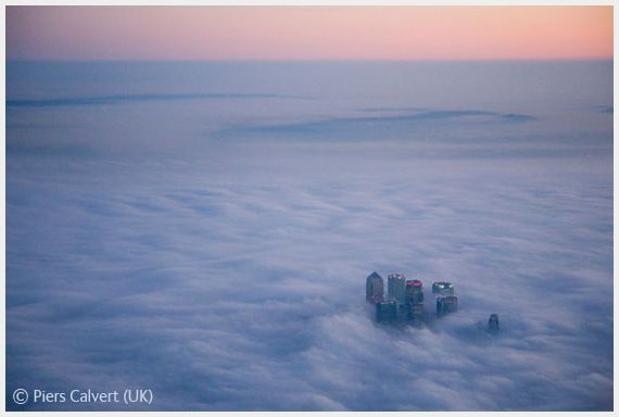 Wildlife Photographer of the Year 2008