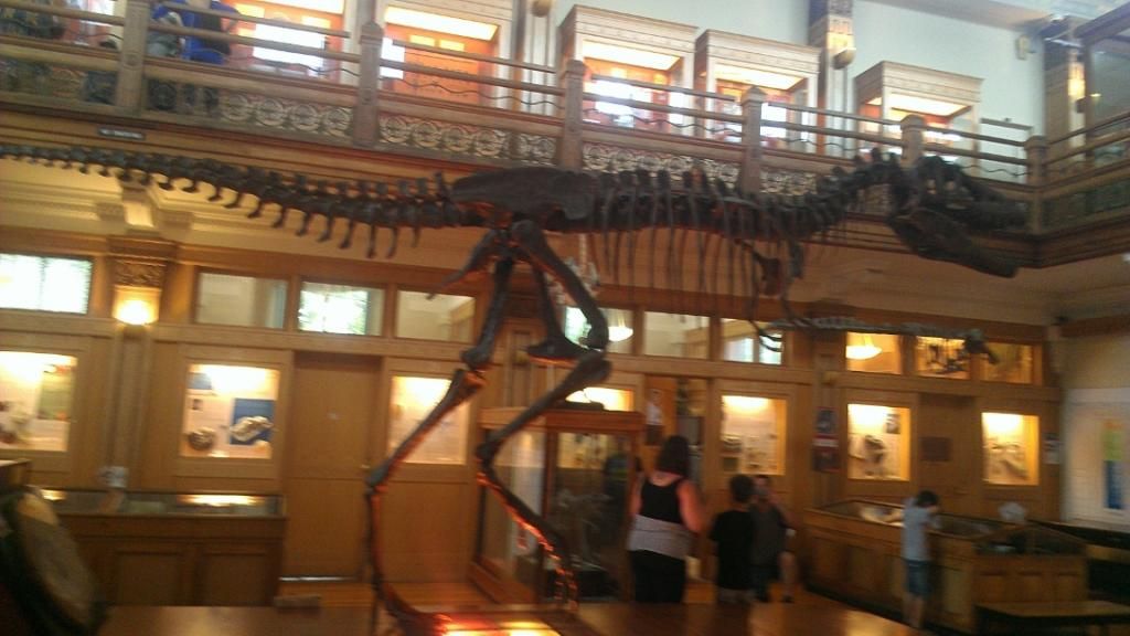 Dinosaurs!