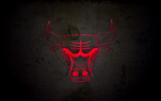 Bulls2.png