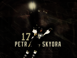 PetrSykora-1.png