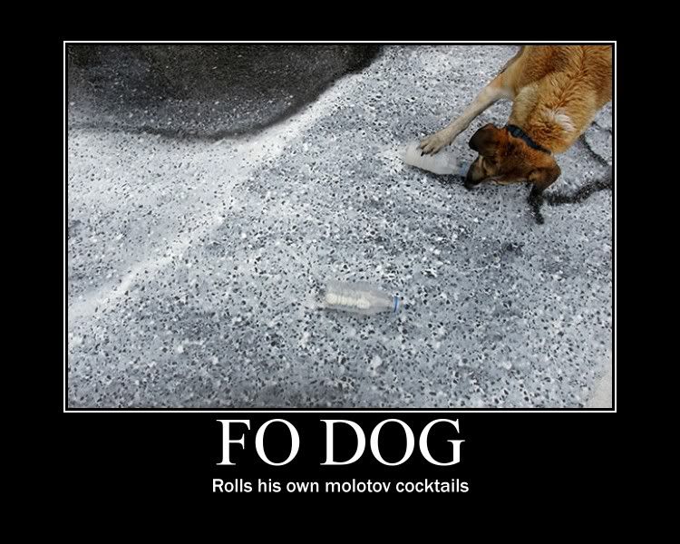 Dog Of Fo