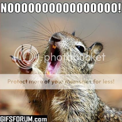 Squirrels of Distraction... | Omega Forums
